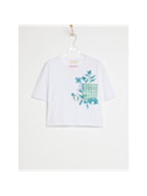 IBLELODIA IBLUES | 2617971062200015